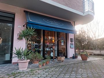 Centro Estetico in Forcoli di Palaia (PI)