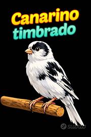 Timbrado