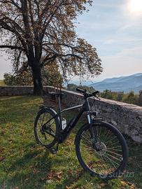 MTB Cube elettrica