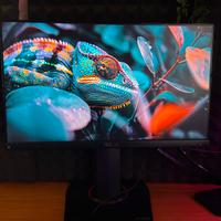 ASUS TUF VG249Q 24 pollici IPS Full HD 144 Hz