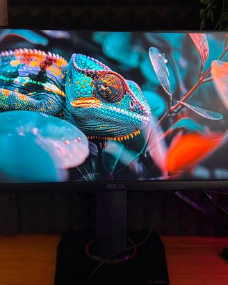 ASUS TUF VG249Q 24 pollici IPS Full HD 144 Hz