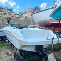 Sea ray 21 - 4.3 mercruiser