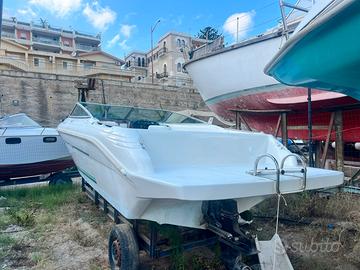 Sea ray 21 - 4.3 mercruiser