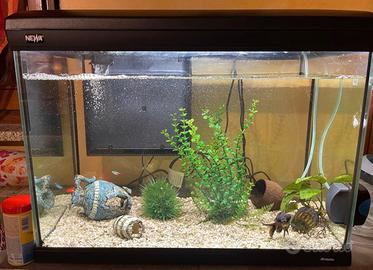 Acquario NEWA