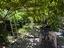 Immagine 26