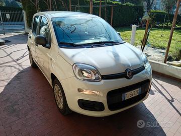 Fiat panda immacolata