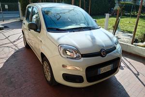 Fiat panda immacolata