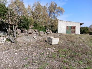 Terreno agricolo Tottubella