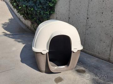 cuccia per cani