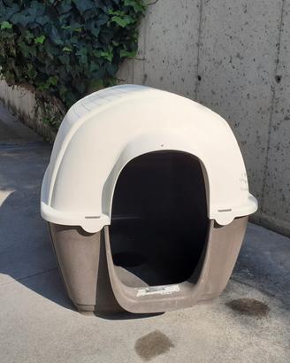 cuccia per cani