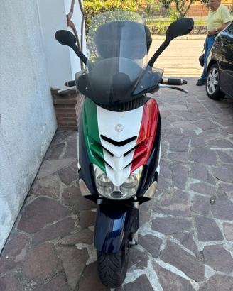 Aprilia leonardo 300