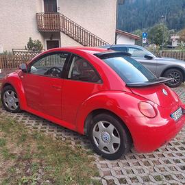 New beetle rosso