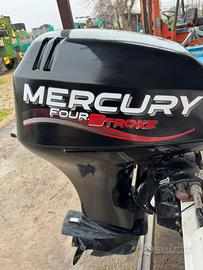 Motore Mercury 25cv