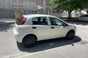 FIAT Punto 1.4 8V 5 porte Natural Power Street