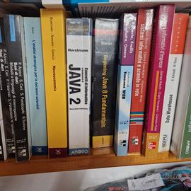 libri ingegneria informatica programmazione