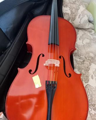 VIOLONCELLO DA STUDIO 4/4