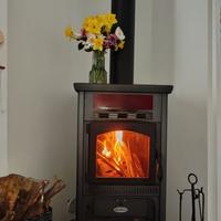 Stufa a legna/Pellet Eurofiamma Furbetta