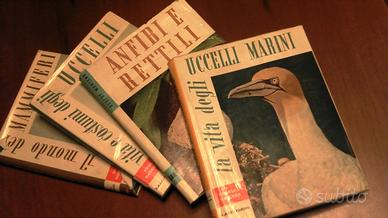 RACCOLTA DI 4 VOLUMI SUL MONDO DEGLI ANIMALI