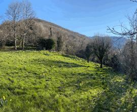 Gruppo di casere con 40.000 mq terreno - V1582