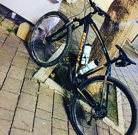 Bianchi kuma 29.2