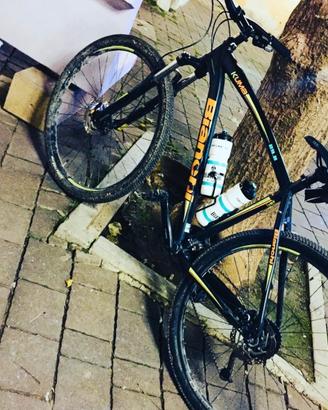 Bianchi kuma 29.2