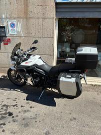 Triumph Tiger 800 ABS 2013 – 26.000 km – Taglianda