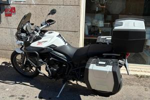 Triumph Tiger 800 ABS 2013 – 26.000 km – Taglianda