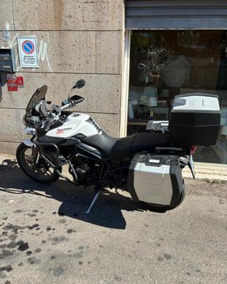 Triumph Tiger 800 ABS 2013 – 26.000 km – Taglianda