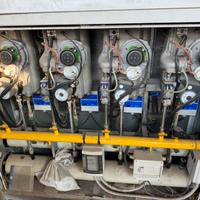 Caldaia gas Ecoflam Bluette 106kw