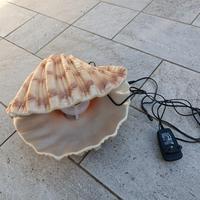 conchiglia con luce e giochi d acqua