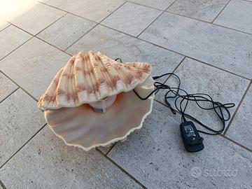 conchiglia con luce e giochi d acqua