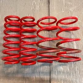 Molle Eibach Sportline vw audi seat skoda