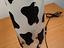 Immagine 4