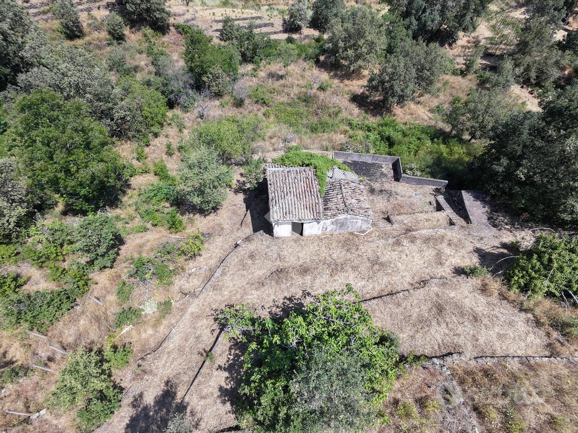 RUSTICO A PIEDIMONTE ETNEO - Vista 4