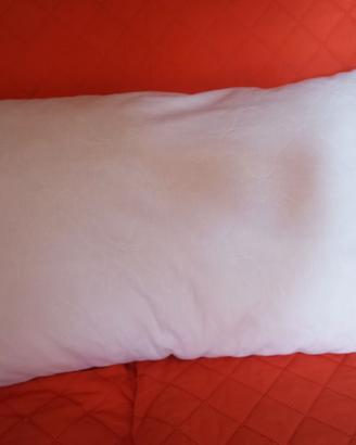 Cuscino
