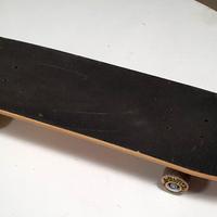 SKATEBOARD ROCES INDIAN F