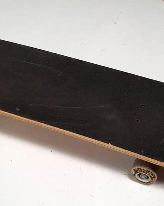SKATEBOARD ROCES INDIAN F
