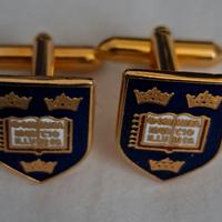 Gemelli originali e Università di Oxford 