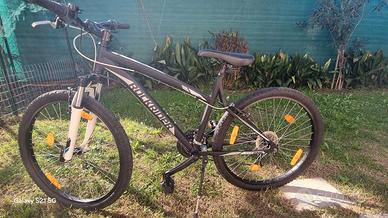 Bicicletta MTB ROCKRIDER 5.1
