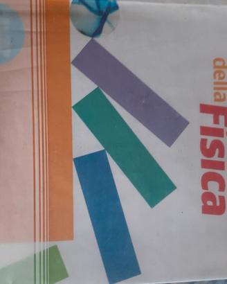 LE RISPOSTE DELLA FISICA 2