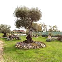 CASA INDIPENDENTE A CIRIÈ