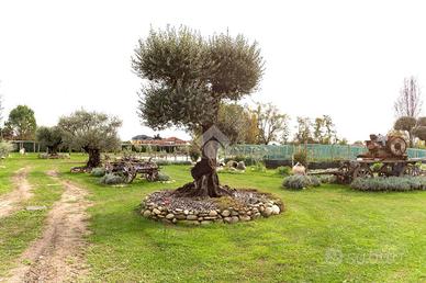 CASA INDIPENDENTE A CIRIÈ