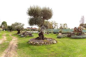 CASA INDIPENDENTE A CIRIÈ