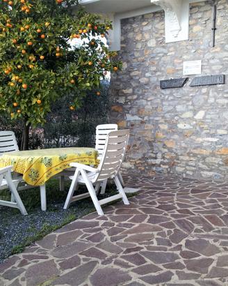 ALL. ULIVO entroterra Diano app.to con cortile