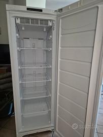Congelatore Indesit 