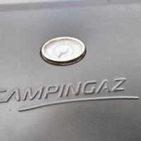 Barbecue con il fornello a gas