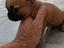 Immagine 3