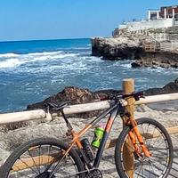 cerchi mavic crossmax slr 29