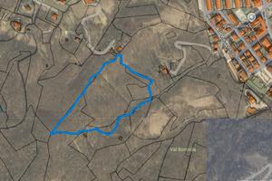 Bosco ceduo e prato cairo montenotte