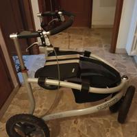 Deambulatore da esterno